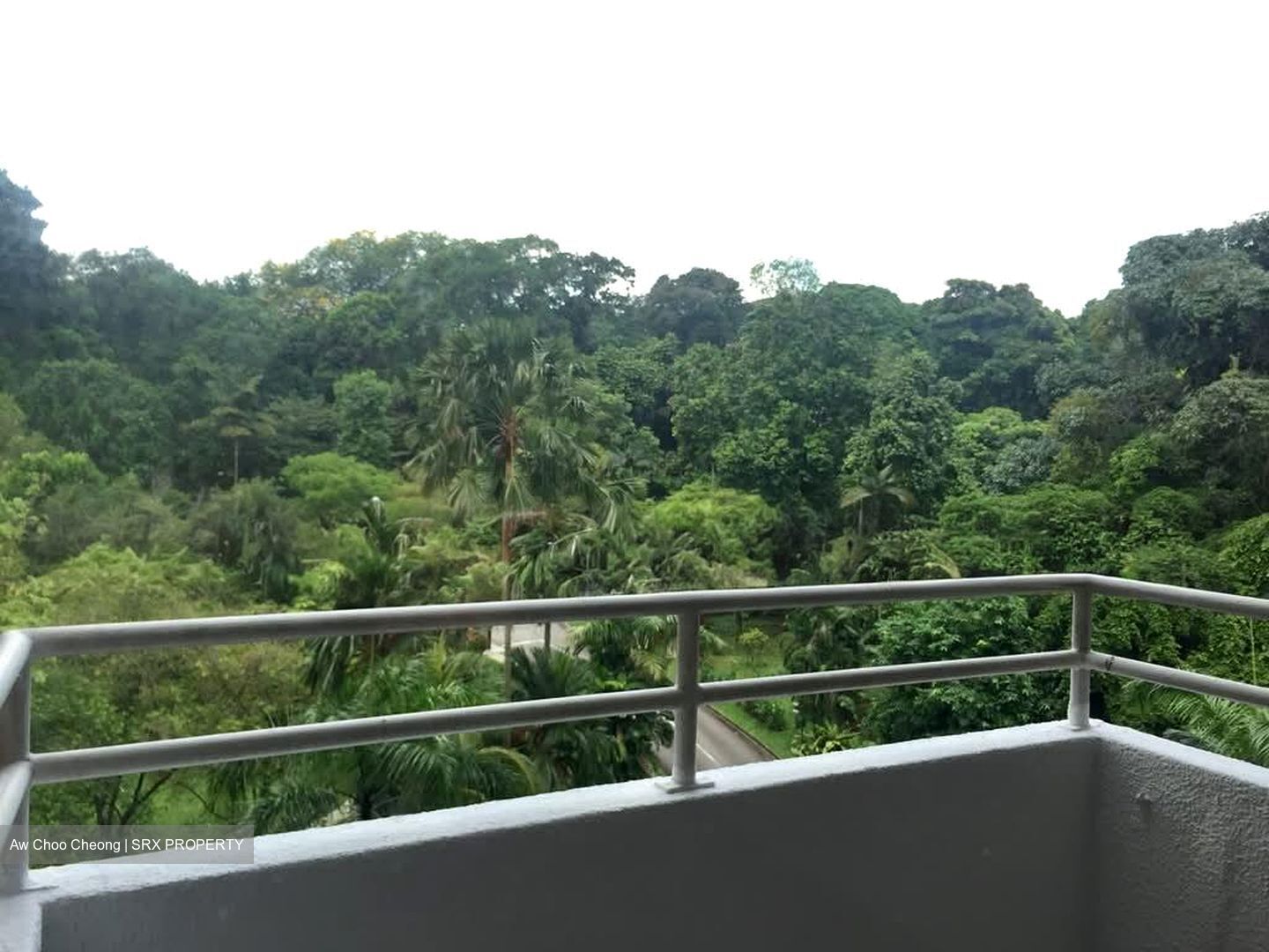Cavenagh Court (D9), Apartment #601541291